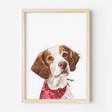 Custom one pet portrait