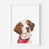 Custom one pet portrait